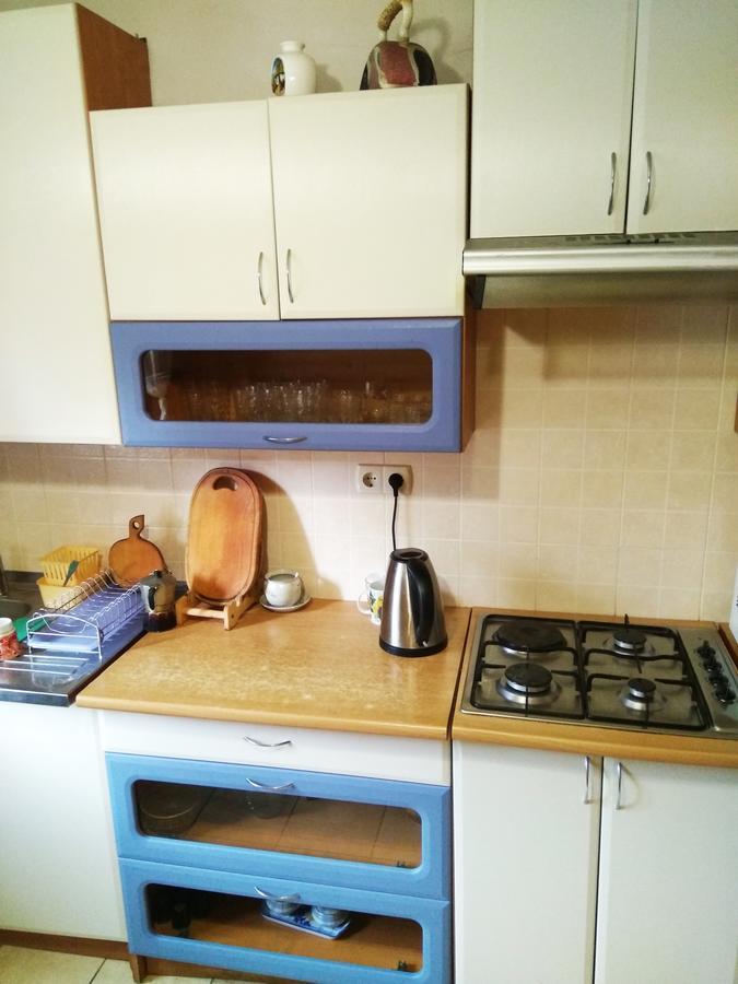 Oskolok Dovbusha Mini-Hotel Jaremcse Kültér fotó